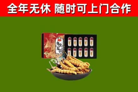 钟祥市回收冬虫夏草价格